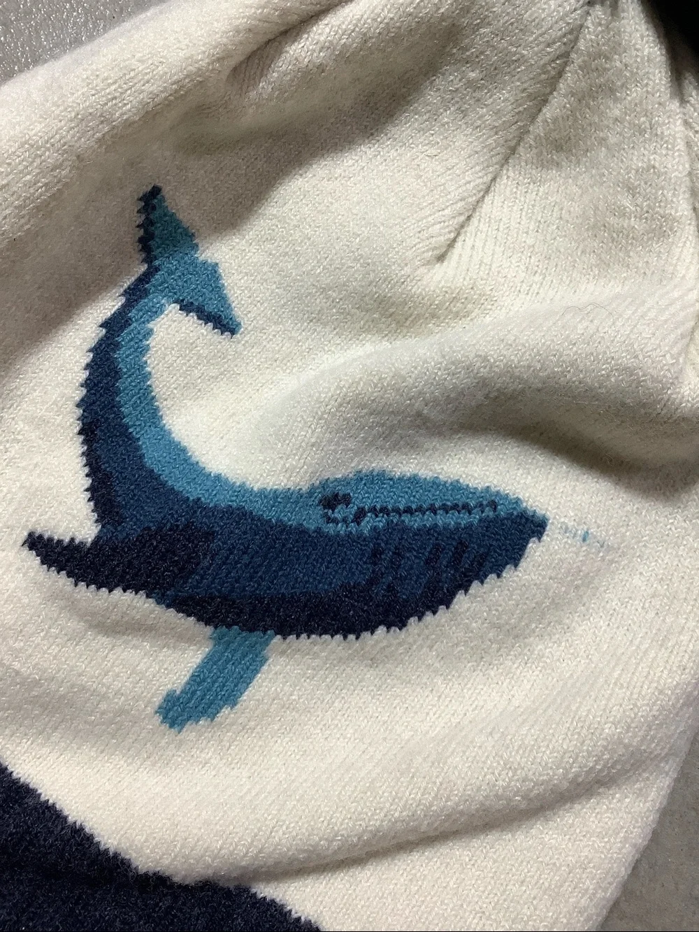 Coal youth whale beanie hat